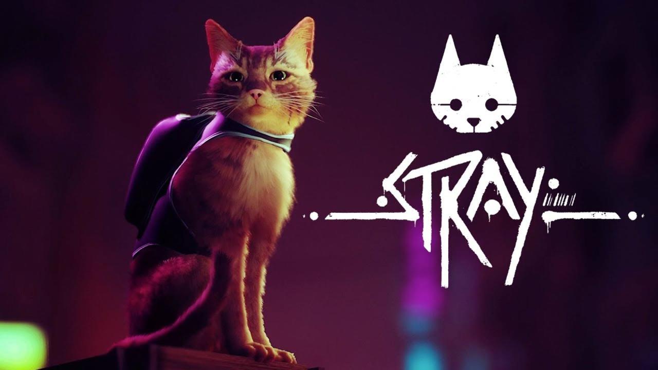 Stray ps5 ps4 indies games jeuxvideo